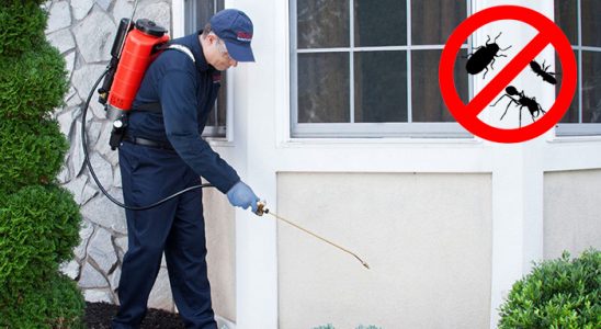 Keşap Böcek ve Haşere İlaçlama böcek ilaçlama ve haşere kontrolü — ilaclama-tr.com